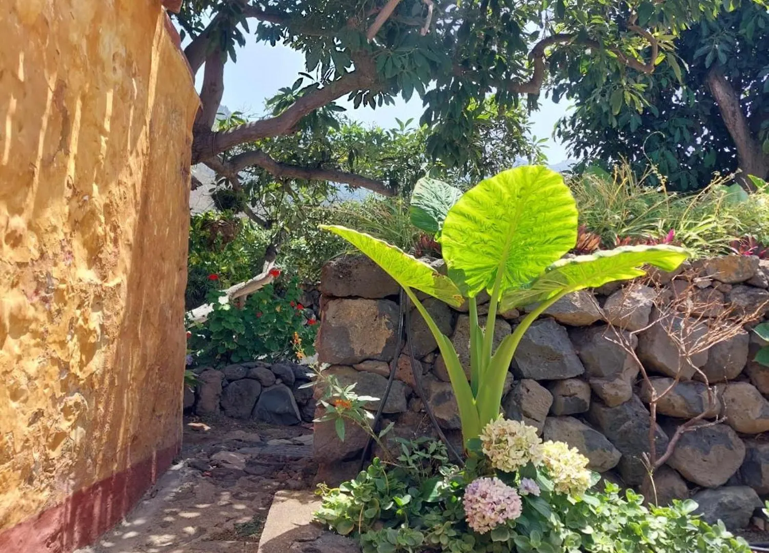 Finca La Plantacion _Agroturismo La Orotava Spanyolország
