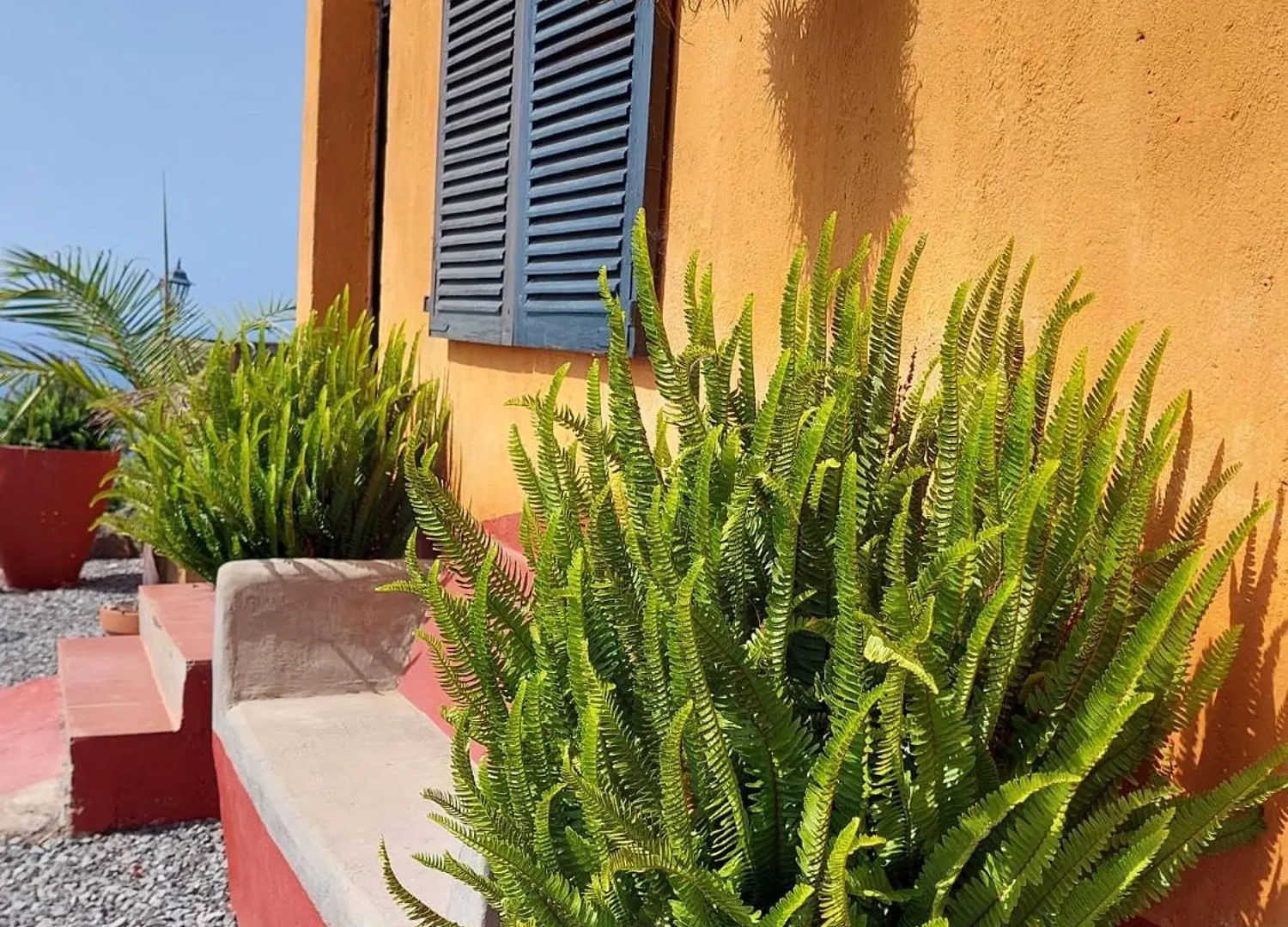 Finca La Plantacion _Agroturismo La Orotava 0*,  Španělsko