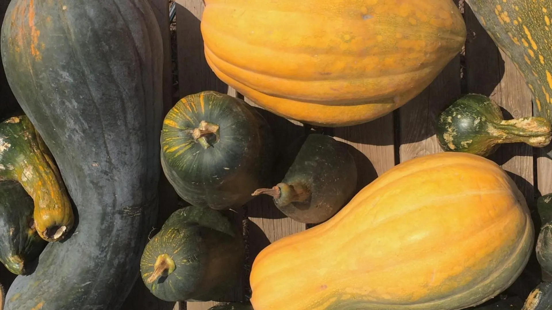Nyaraló Finca La Plantacion _Agroturismo La Orotava