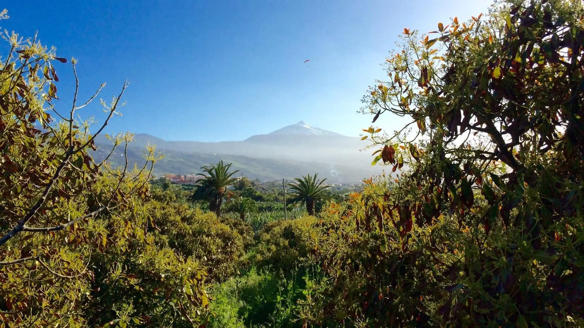 Nyaraló Finca La Plantacion _Agroturismo La Orotava Spanyolország