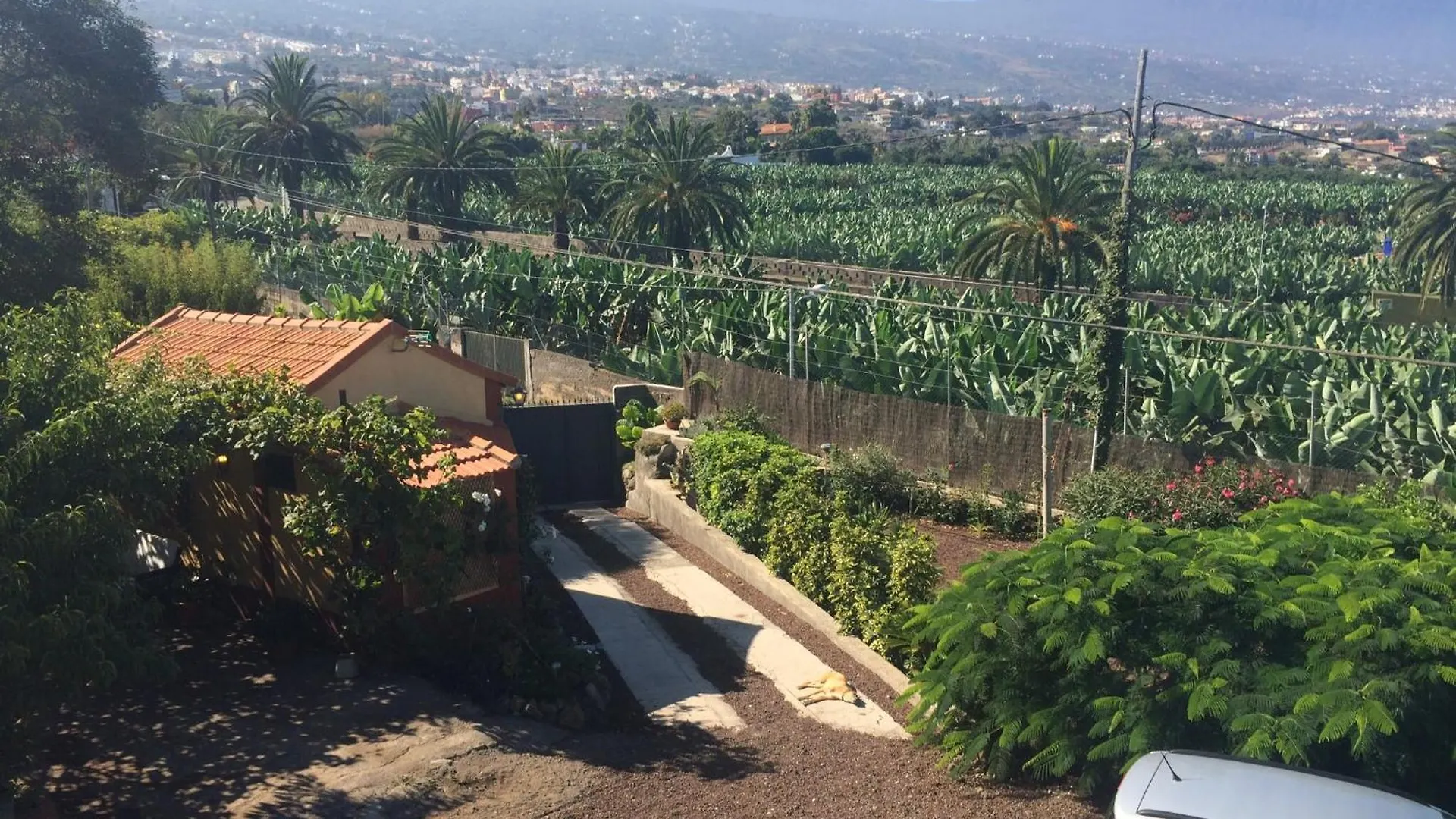 Finca La Plantacion _Agroturismo La Orotava Spanyolország