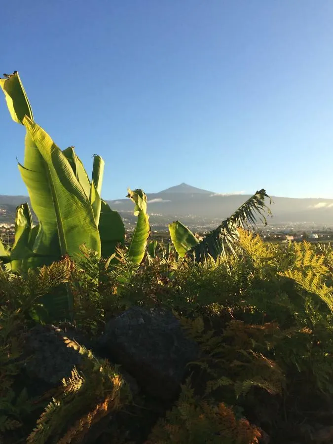 Finca La Plantacion _Agroturismo La Orotava