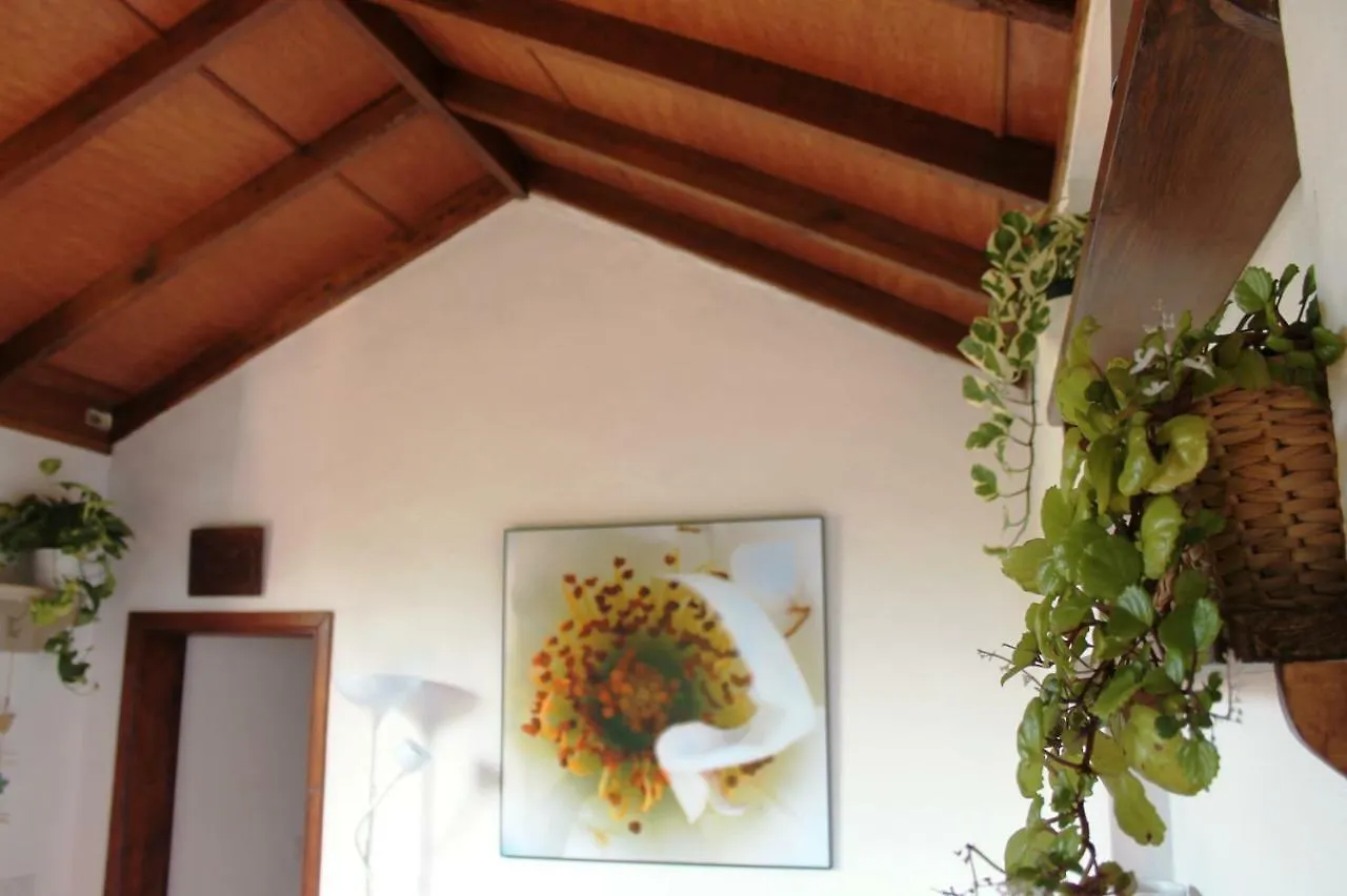 Finca La Plantacion _Agroturismo La Orotava