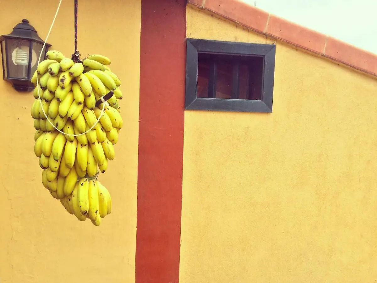Finca La Plantacion _Agroturismo La Orotava